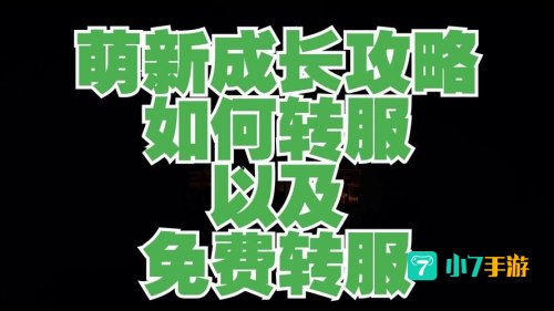 付费转服