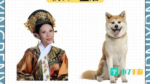 后宫甄嬛传 下载