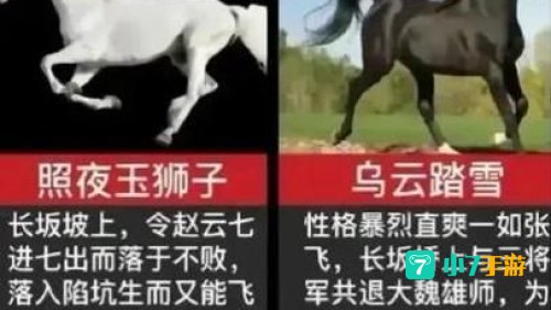 刘备的坐骑