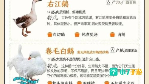 鹅鸭杀多少钱